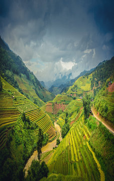 Rice fields on terraced at dramatic sky background in Mu Cang Chai, YenBai, Vietnam.