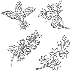 Set of black and white flowers