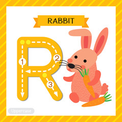 Letter R uppercase cute children colorful zoo and animals ABC alphabet tracing flashcard of Pink Rabbit holding carrot for kids learning English vocabulary and handwriting vector illustration.