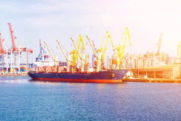 Obraz premium Bulk carrier ship in the port on loading. Bulk cargo ship under port crane bridge. Panorama of the port cranes ships.