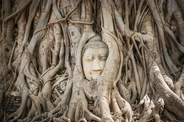 Buddha Head in Ayutthaya, Thailand.