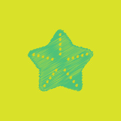 starfish flet in Hatching style © pashutanast9