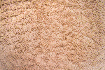 Brown fur in the form of a background