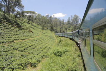 Blue Train Srilanka 