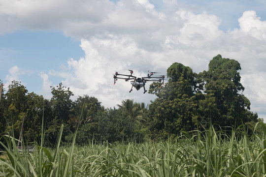 agriculture drone ,technology for plant smart farm