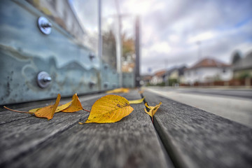 Walk