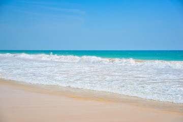 Fototapeta na wymiar beautiful waves on a sandy beach, Indian Ocean