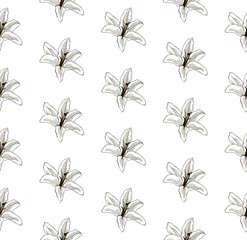 Vector Black Seamless Pattern with Drawn Lilies