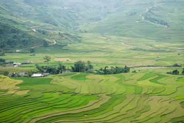 Mu Cang Chai Sapa, Vietnam