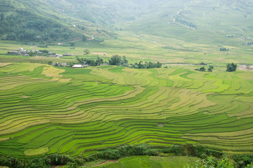 Fototapeta premium Mu Cang Chai Sapa, Vietnam