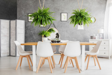 Cosy dining room with ferns