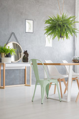 Mint chair in dining room