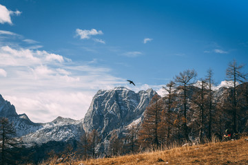 Autumn mountain view on the sunny day in the Julian Alps, Europe
