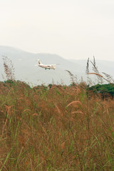 Fototapeta premium Airplane landing Background shot and Green Grass Flower
