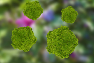 Fototapeta premium Tobacco ringspot viruses on colorful background, 3D illustration 