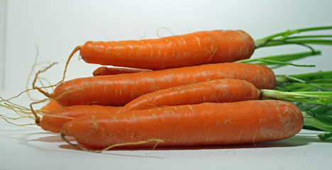 Carottes