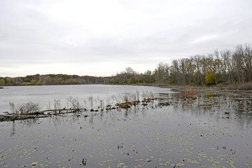 nature lake landscape with a forest Autumn scenery in the background at the Westminster Ponds nature area in London Ontario 