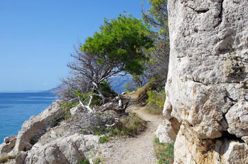 Ścieżka © Patdrig Torc
