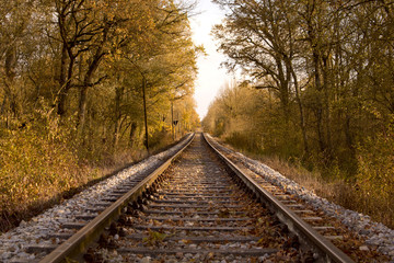 Fototapeta premium Gleise