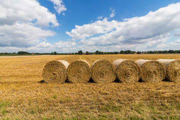 Fototapeta premium Heuballen liegen auf Feld
