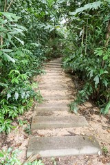 cement plate on green grass in nature garden
