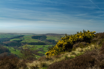 Derbyshire Views