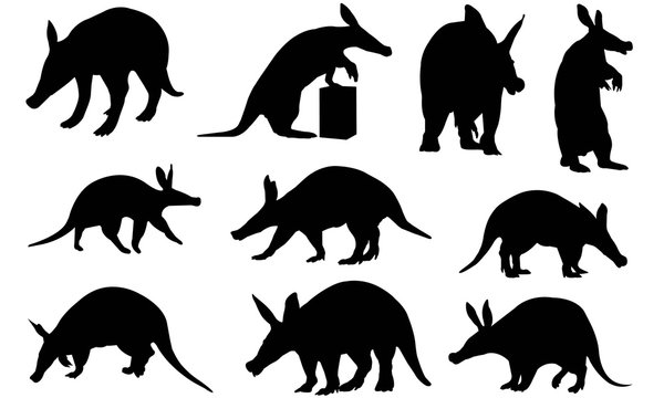 Aardvark Silhouette Vector Graphics 