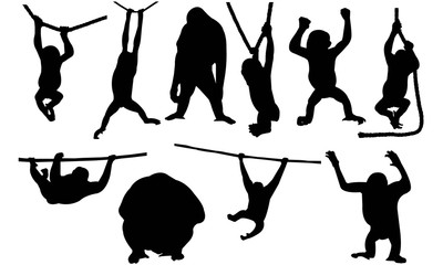 Orangutan Silhouette Vector Graphics  © Loveleen