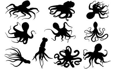Octopus Silhouette Vector Graphics 