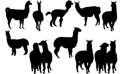 Alpaca Silhouette Vector Graphics  © Loveleen