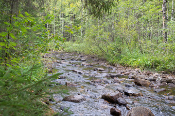 river in forest in summer. the stones in the river.big braid river in the national Park Taganay.