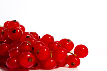 Rote Johannisbeere 2