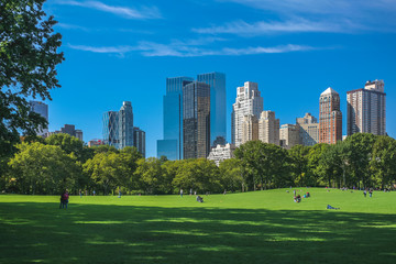Central Park, New York - obrazy, fototapety, plakaty
