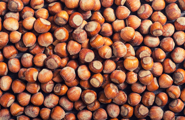 Group of hazelnuts