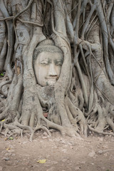 Fototapeta na wymiar Buddha Head in Ayutthaya, Thailand.