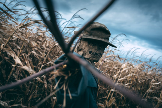 Scary scarecrow in a hat