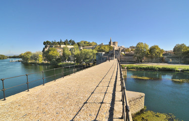 The Pont Saint-Bénézet  also known as the Pont d'Avignon, France
 - obrazy, fototapety, plakaty