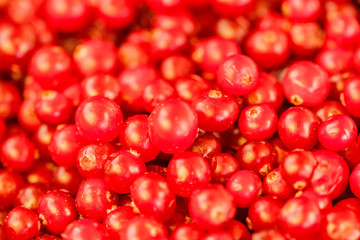Fresh berry cranberry.
