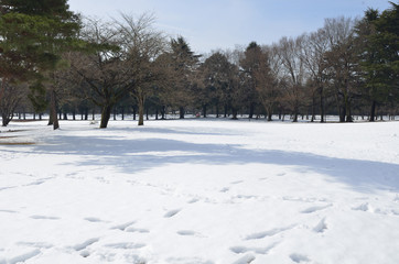Fototapeta na wymiar 雪景色の公園