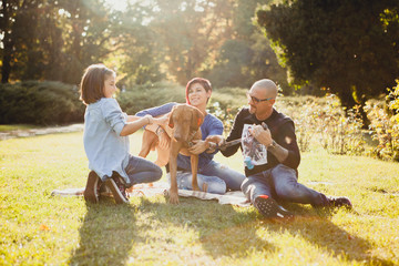 Group portrait of family playing in the park with their dog in the park. Animal lovers. Mother, father, daughter and their dog