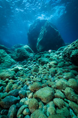 rocky sea bottom