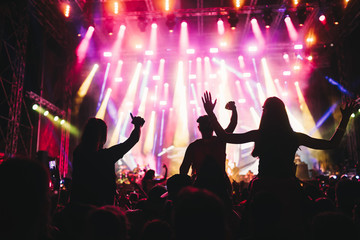 Portrait of happy crowd enjoying at music festival