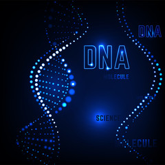 DNA Molecule Image
