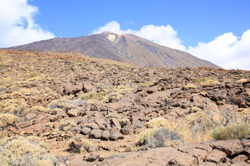 El Teide National Park on Tenerife Island, Canary Islands, Spain
