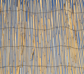 Dry reed fence with blue sky behind