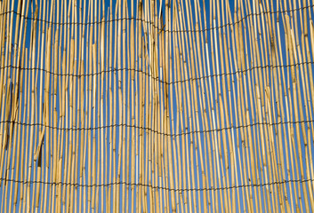Dry reed fence with blue sky behind