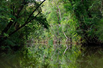 Masoala National Park landscape, Madagascar
