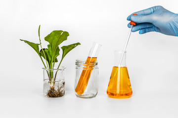 Beauty product natural organic botany