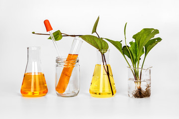 Beauty product natural organic botany