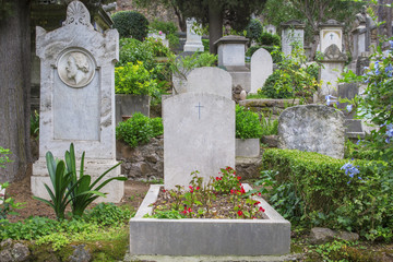 Dettaglio di una tomba con lapide di marmo e fiori rossi posta nel cimitero acattolico di Roma, detto cimitero degli Inglesi, o anche "cimitero dei protestanti".